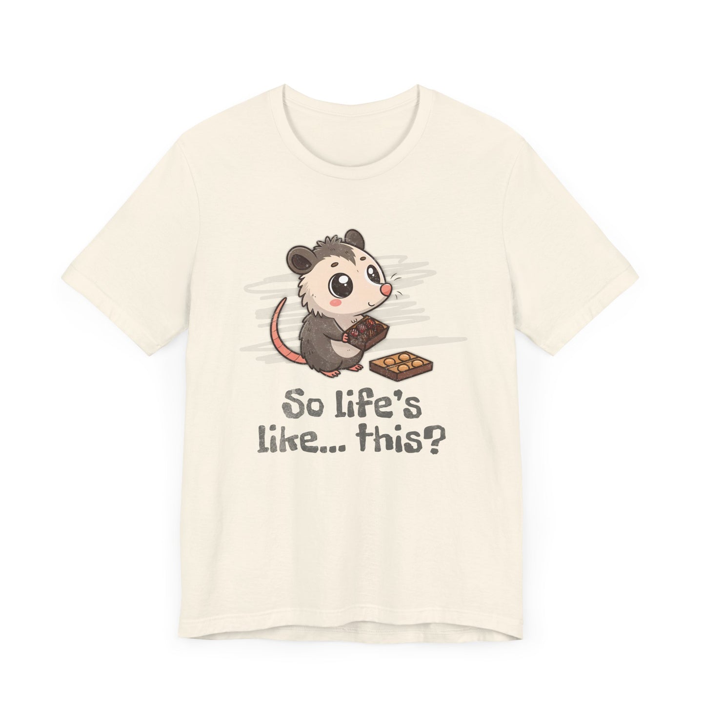 Opossum with Box of Chocolates