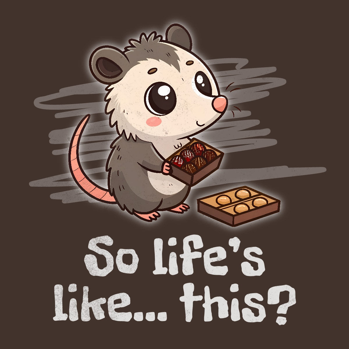 Opossum with Box of Chocolates