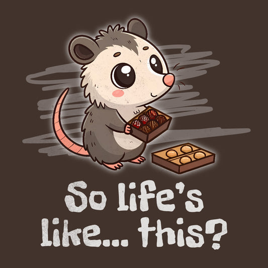 Opossum with Box of Chocolates