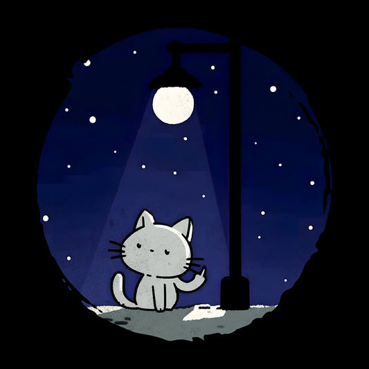 Midnight Kitty